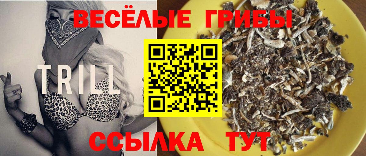 Галлюциногенные грибы MAGIC MUSHROOMS Карачаевск