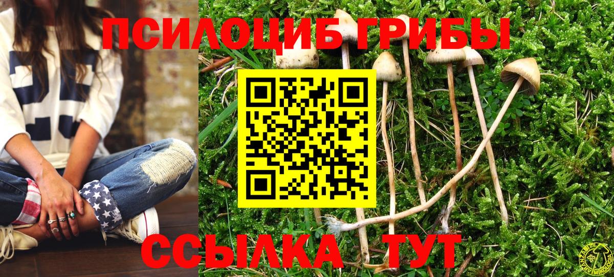 Галлюциногенные грибы GOLDEN TEACHER  как найти наркотики  Карачаевск  Вход с VPN 